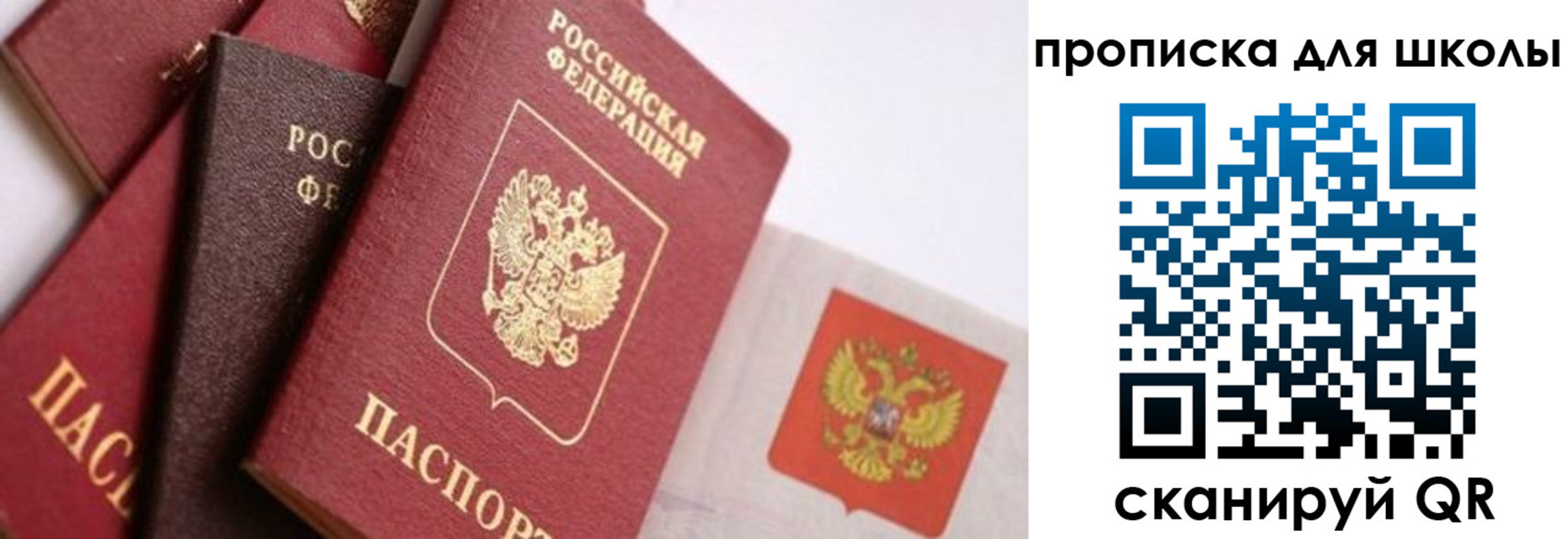 прописка поиск в Хабаровске